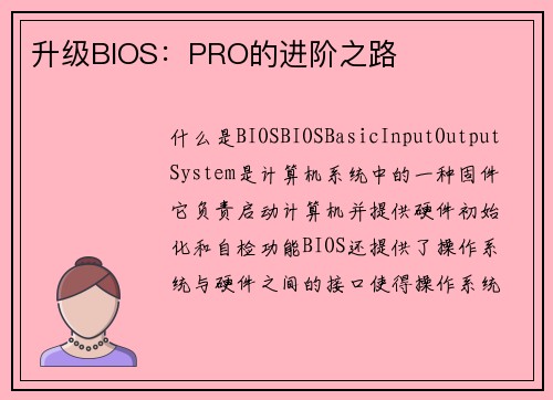 升级BIOS：PRO的进阶之路